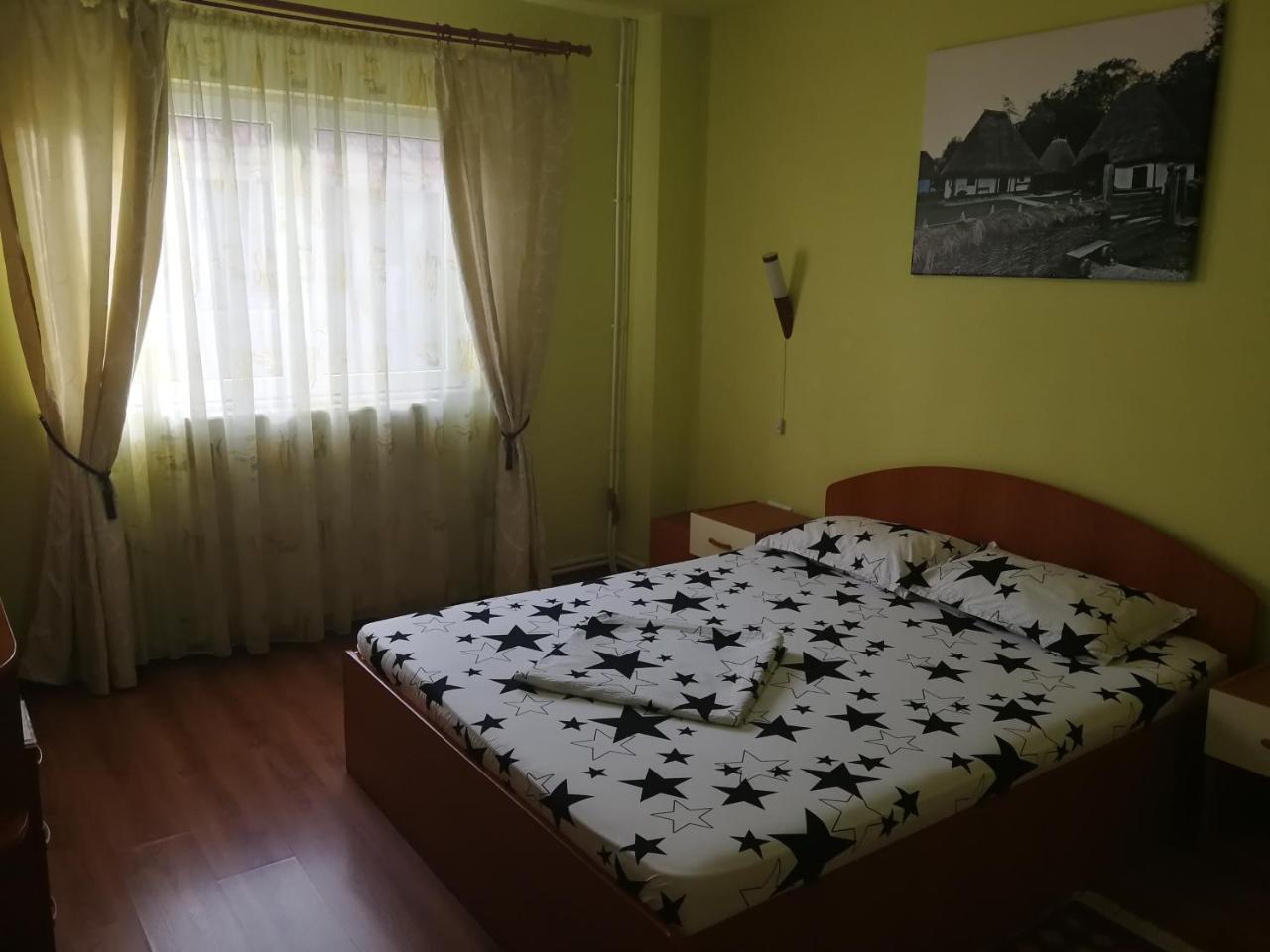 Pensiunea Balea Sat Cîrţişoara Exterior foto