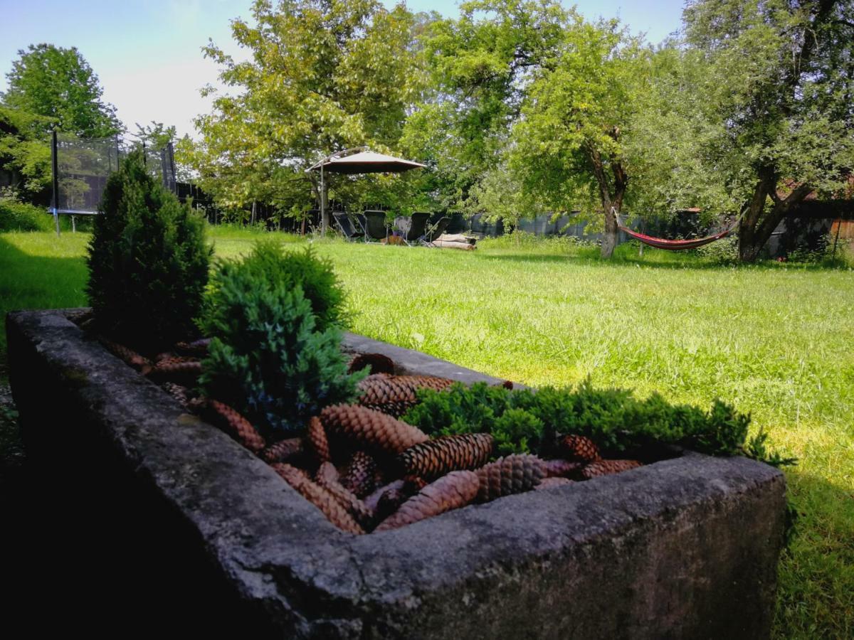 Pensiunea Balea Sat Cîrţişoara Exterior foto